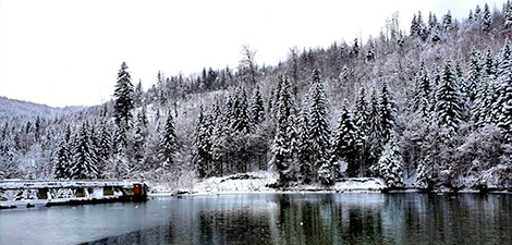 vehicle-details-image