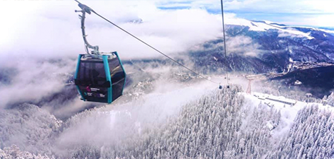 vehicle-details-image